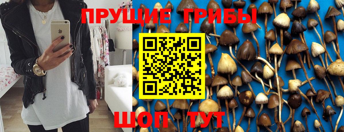 Усинск  Галлюциногенные грибы мухоморы  Псилоцибиновые грибы MAGIC MUSHROOMS  Вход с VPN 